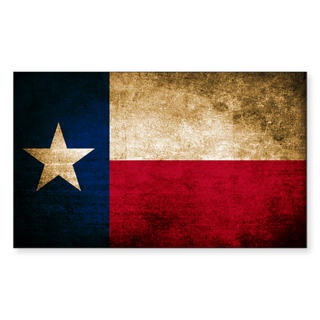 Magnet Texas State Flag - Texas Products