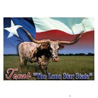 TX Products-Texas Longhorn/Flag Magnet