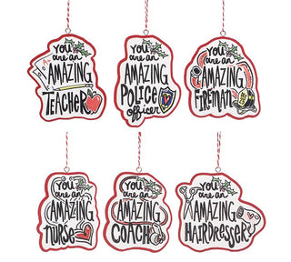 Christmas Occupation Ornament "You are an Amazing..." - Burton & Burton