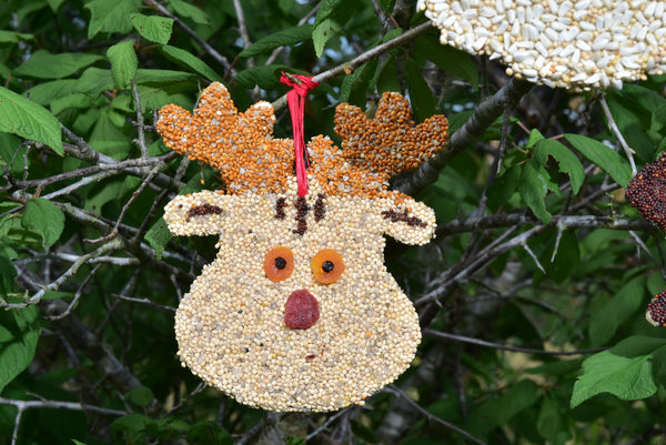Mr. Bird Rudolph Christmas Cookie