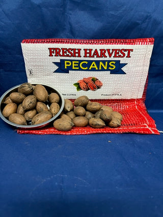 In-Shell New Crop Pecans 2025-2026- 10# Jr Mammoth- Pawnees