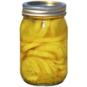 Gourmet Garden Squash Pickles