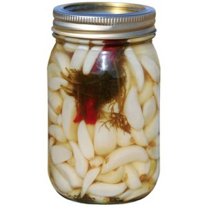 Gourmet Garden Dilled Garlic