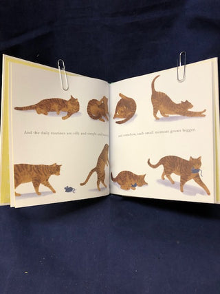 Book - When You Love A Cat